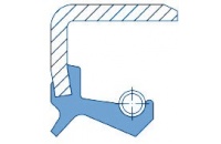 Uszczelnianie wału (simmering) Typu BS NBR